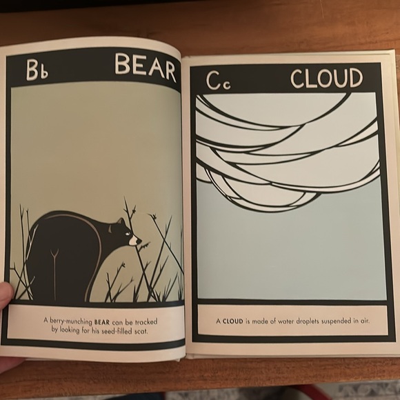 B is for Bear by Hannah Viano alphabet book PNW - Picture 4 of 8